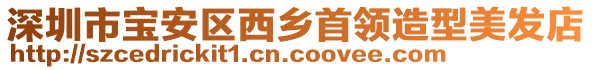 深圳市寶安區西鄉首領造型美發店