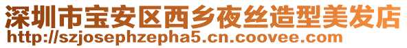 深圳市寶安區西鄉夜絲造型美發店