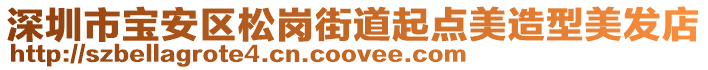 深圳市寶安區松崗街道起點美造型美發店