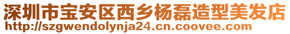 深圳市寶安區西鄉楊磊造型美發店