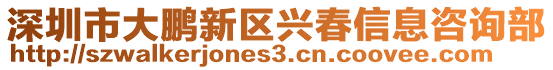 深圳市大鵬新區(qū)興春信息咨詢部