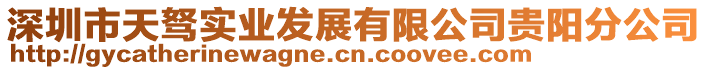 深圳市天駑實業發展有限公司貴陽分公司