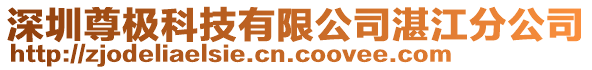 深圳尊極科技有限公司湛江分公司