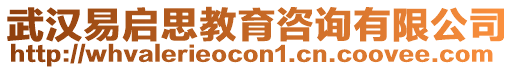 武漢易啟思教育咨詢有限公司