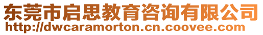 東莞市啟思教育咨詢有限公司