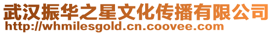 武漢振華之星文化傳播有限公司
