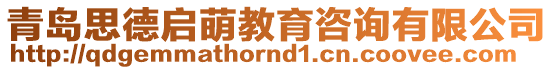 青島思德啟萌教育咨詢有限公司