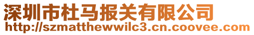 深圳市杜馬報關有限公司