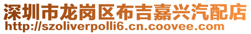 深圳市龍崗區(qū)布吉嘉興汽配店