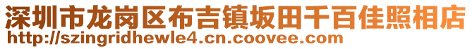 深圳市龍崗區(qū)布吉鎮(zhèn)坂田千百佳照相店
