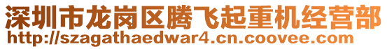 深圳市龍崗區騰飛起重機經營部