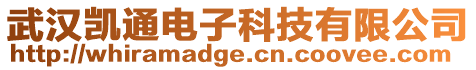 武漢凱通電子科技有限公司