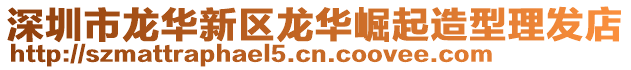 深圳市龍華新區龍華崛起造型理發店