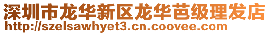 深圳市龍華新區龍華芭級理發店