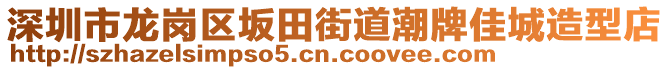深圳市龍崗區坂田街道潮牌佳城造型店