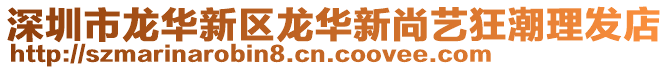深圳市龍華新區(qū)龍華新尚藝狂潮理發(fā)店