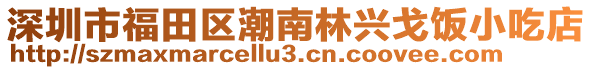 深圳市福田區(qū)潮南林興戈飯小吃店