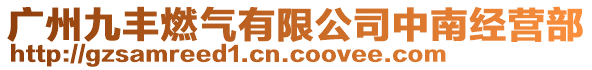 廣州九豐燃氣有限公司中南經營部