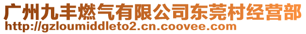 廣州九豐燃氣有限公司東莞村經營部