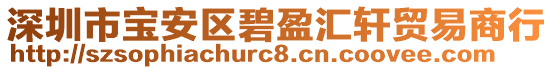 深圳市寶安區(qū)碧盈匯軒貿(mào)易商行