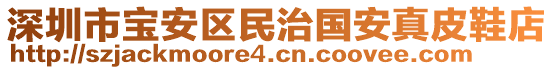 深圳市寶安區民治國安真皮鞋店
