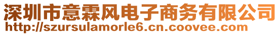 深圳市意霖風電子商務有限公司