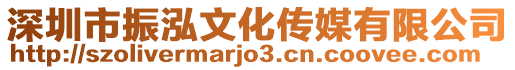 深圳市振泓文化傳媒有限公司