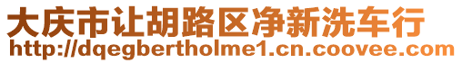 大慶市讓胡路區(qū)凈新洗車行