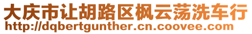 大慶市讓胡路區楓云蕩洗車行