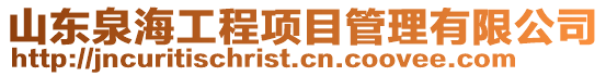 山東泉海工程項目管理有限公司