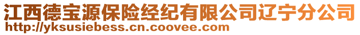 江西德寶源保險經(jīng)紀(jì)有限公司遼寧分公司