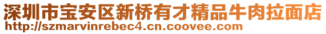 深圳市寶安區(qū)新橋有才精品牛肉拉面店