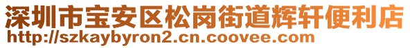 深圳市寶安區(qū)松崗街道輝軒便利店