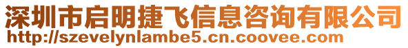 深圳市啟明捷飛信息咨詢有限公司