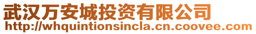 武漢萬安城投資有限公司