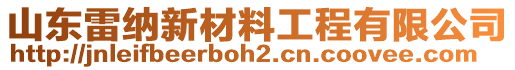 山東雷納新材料工程有限公司