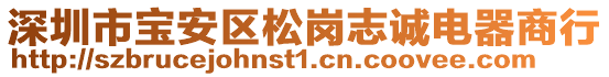 深圳市寶安區(qū)松崗志誠電器商行