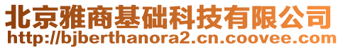 北京雅商基礎(chǔ)科技有限公司