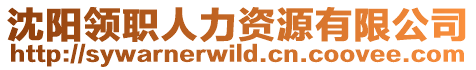 沈陽領職人力資源有限公司