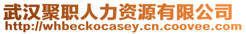 武漢聚職人力資源有限公司