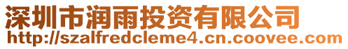 深圳市潤雨投資有限公司