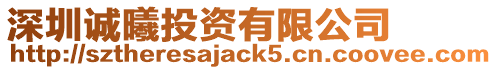 深圳誠曦投資有限公司