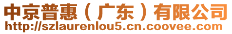 中京普惠(廣東)有限公司