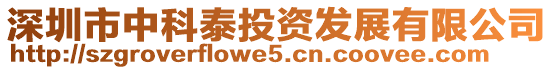 深圳市中科泰投資發展有限公司