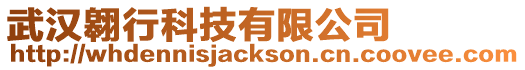 武漢翱行科技有限公司