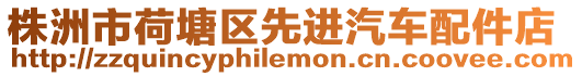 株洲市荷塘區先進汽車配件店