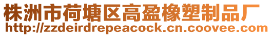 株洲市荷塘區(qū)高盈橡塑制品廠