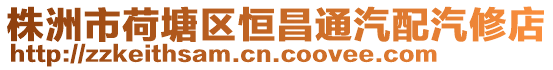 株洲市荷塘區恒昌通汽配汽修店