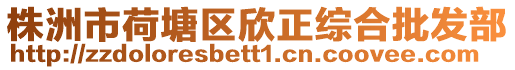 株洲市荷塘區(qū)欣正綜合批發(fā)部