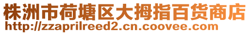 株洲市荷塘區大拇指百貨商店